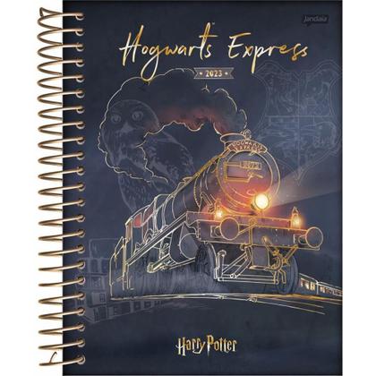 Imagem de Agenda 2023 HARRY Potter 176FLS.