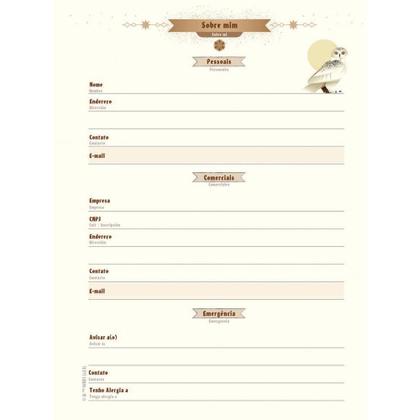 Imagem de Agenda 2023 HARRY Potter 176FLS.