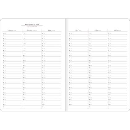 Imagem de Agenda Planner 2025 Grampeado Cambridge - Tilibra