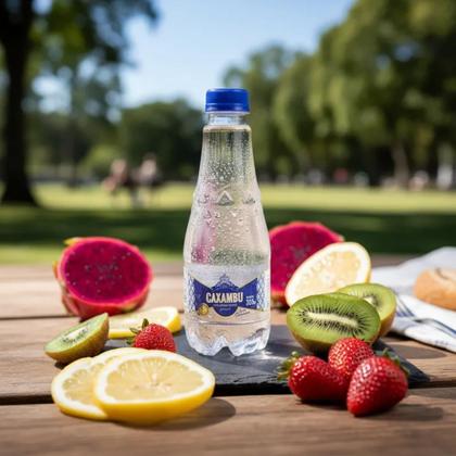 Imagem de Água Mineral Caxambu Gourmet S/g - Pack 24X330ML