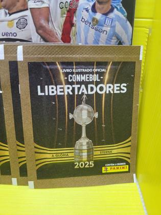 Imagem de Album De Figurinha Capa Dura Conmebol Libertadores 2025, Panini + 30 Envelopes