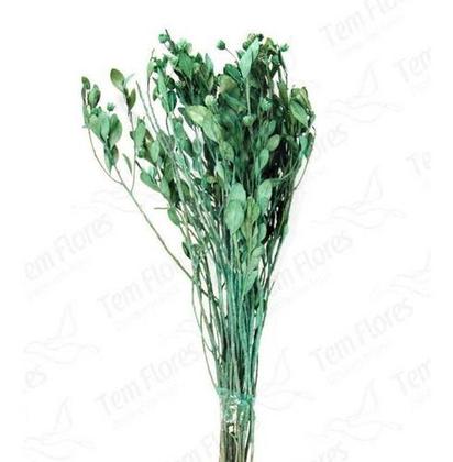 Imagem de Alecrim Verde Desidratado Buque Flores Secas