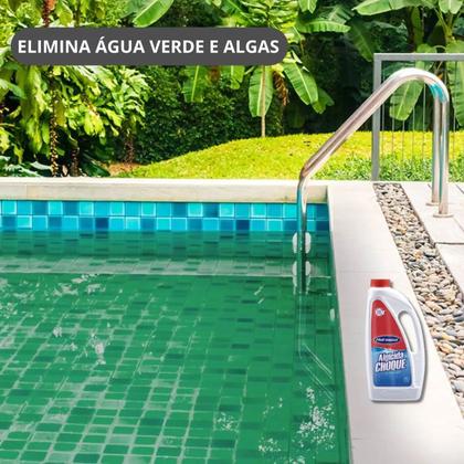 Imagem de Algicida Choque Hidroazul - Elimina Algas Piscina Verde 1l