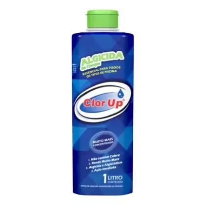Imagem de Algicida de Choque 01 litro CLOR UP