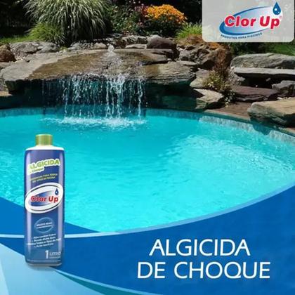 Imagem de Algicida de Choque 01 litro CLOR UP