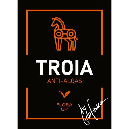 Imagem de Algicida Troia Fora Up 250ml Anti Algas  Removedor De Algas