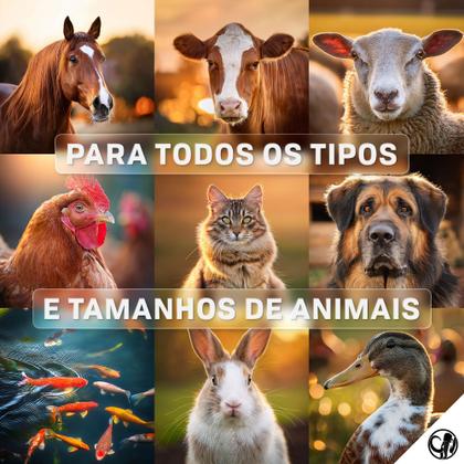 Imagem de Alimentador Automático Parte Mecânica Timer E Fonte