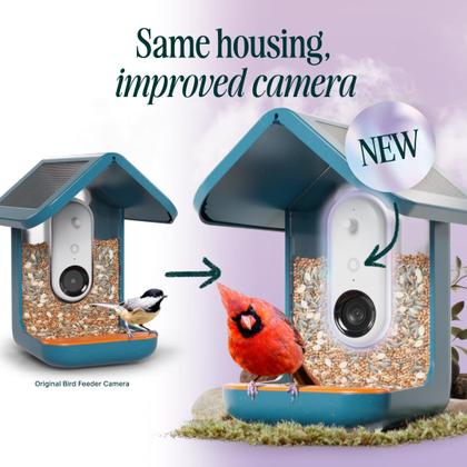 Imagem de Alimentador inteligente de pássaros Bird Buddy Pro Solar com câmera azul