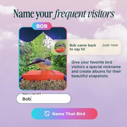 Imagem de Alimentador inteligente de pássaros Bird Buddy Pro Solar com câmera azul