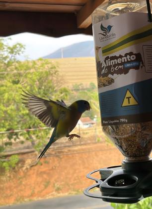Imagem de Alimento do Bem LivreBirds  Linha STD 750g