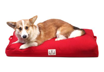 Imagem de Almofadão Lisboa para Cachorro e Gato Pet