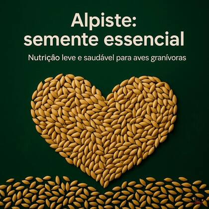 Imagem de Alpiste Limpo 1Kg Cannã Sementes Premium Ricas em Nutrientes para Aves Ornamentais