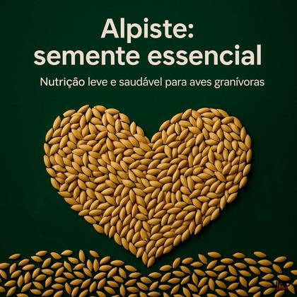 Imagem de Alpiste Limpo Cannã 1Kg Produto Natural de Qualidade para Pássaros Ornamentais