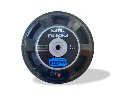 Imagem de Alto Falante Woofer 15 Polegadas Sturdy 550 Watts RMS