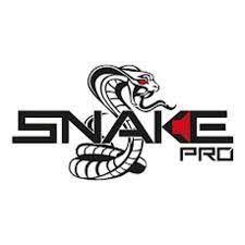 Imagem de Alto Falantes 6X9 Snake Pro ESV280 280W Rms 4 Ohms Par