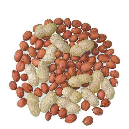 Imagem de Amendoim Runner Cru com Pele 1Kg - DaFoods