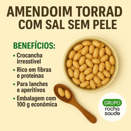 Imagem de Amendoim Torrado Sem Sal e Sem Pele Qualidade Superior 100g