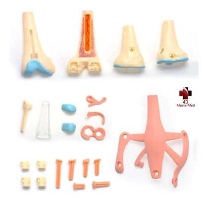 Imagem de Anatomia do Joelho com articulações - 4D MasterMed