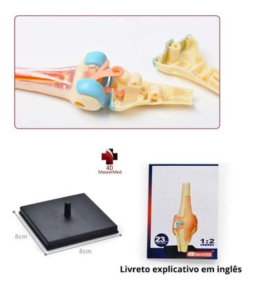 Imagem de Anatomia do Joelho com articulações - 4D MasterMed