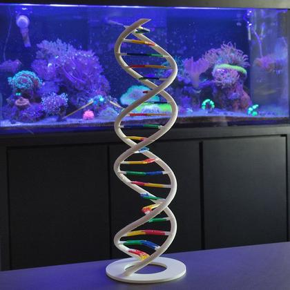 Imagem de Anatomia Dupla Hélice Dna Humano Modelo Anatômico Biologia 3D