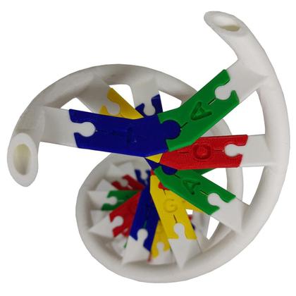 Imagem de Anatomia Dupla Hélice Dna Humano Modelo Anatômico Biologia