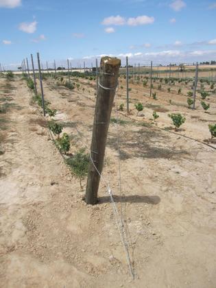 Imagem de Âncora Gripple 4 + Cabo Metálico (4mm - 1,5m) - Pacote 6 unidades