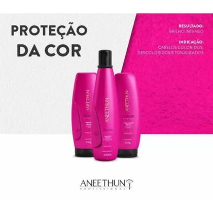 Imagem de Aneethun Color Shampoo Mascara E Finalizador