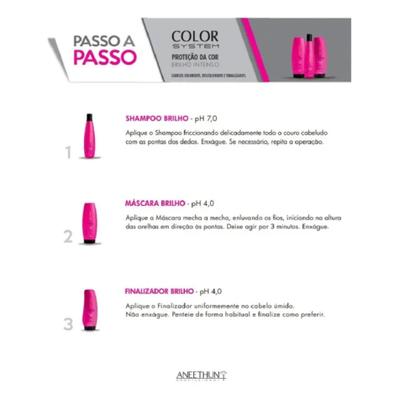 Imagem de Aneethun Color Shampoo Mascara E Finalizador
