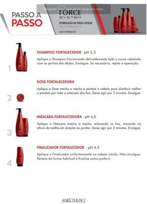 Imagem de Aneethun Kit Force System Shampoo 1 Litro + Mascara 1 Litro