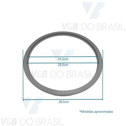 Imagem de Anel Silicone VedaÇÃO Autoclave 17/21l Bioart Elite