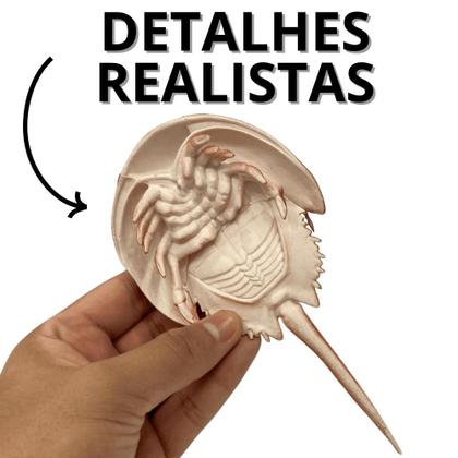 Imagem de Animais De Brinquedo Marinho Brinquedos Para Menino Infantil Kit Animal Interativo Crianças