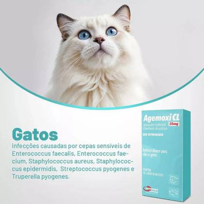 Imagem de Anti-Microbiano Agemoxi CL 50mg 10 Comprimidos Cães e Gatos