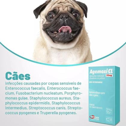 Imagem de Anti-Microbiano Agemoxi CL 50mg 10 Comprimidos Cães e Gatos