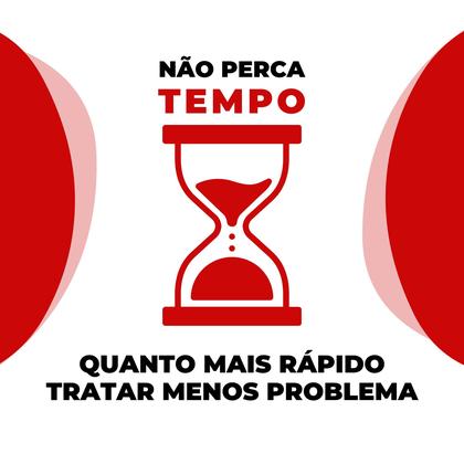 Imagem de Antipulgas, Carrapatos e Sarnas - Tripla Ação - 12 Comprimidos para Cães de até 15kg