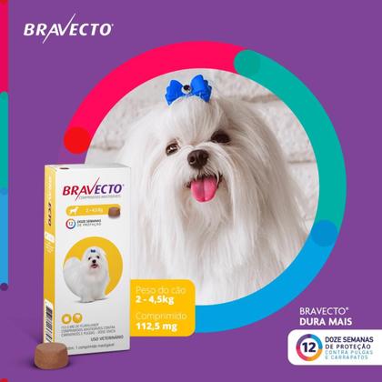 Imagem de Antipulgas e carrapatos bravecto para cães de 2 a 4,5 kg
