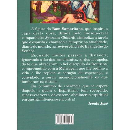 Imagem de Ao Tarefeiro Espírita - LEEPP