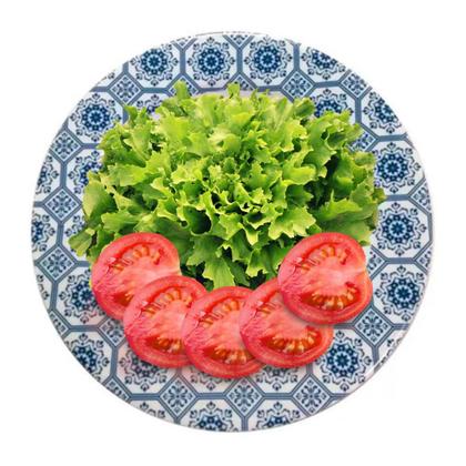 Imagem de Aparelho De Jantar 18 Peças Melamina Português Jogo Completo