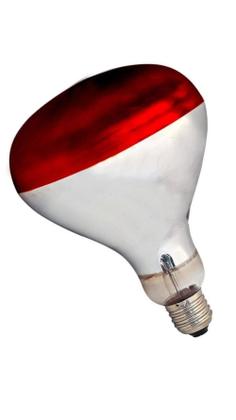 Imagem de Aparelho Infra Vermelho + Lâmpada 110V Fisioterapia