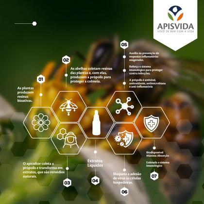 Imagem de APISVIDA Extrato de Própolis PowerBlend Propoflex  30mL  Fórmula Exclusiva com as Três Própolis Brasileiras Verde, Vermelha e Marrom