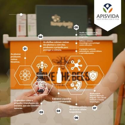 Imagem de APISVIDA Nanoprópolis  Extrato de Própolis Verde 20mL  Alta Concentração com Nanotecnologia