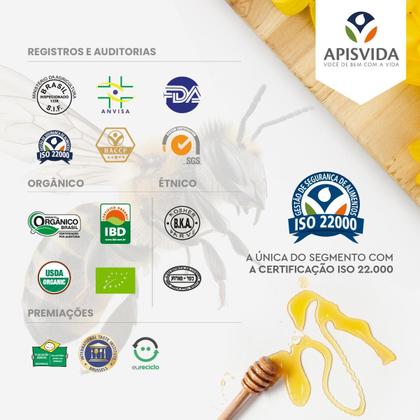 Imagem de APISVIDA Power Pólen Apícola Desidratado  120g  Produto Alimentício Natural, Rico em Nutrientes