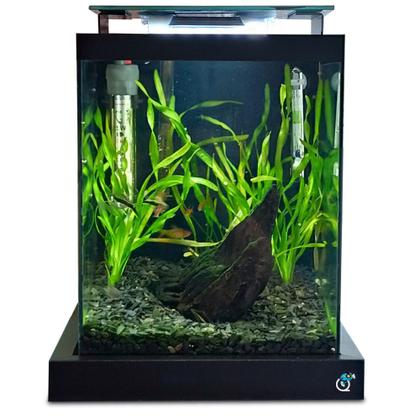 Imagem de Aquário 10 litros Quili Blackbox Nano + Completo + Decoração Natural
