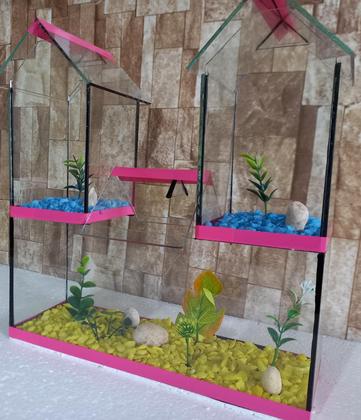 Imagem de Aquario Beteira Castelo III Tripla 3 Compartimentos Peixe Betta decorado pedrinhas e planta artificial