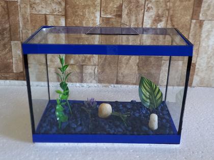 Imagem de Aquario Beteira Para Peixe Betta Decorado