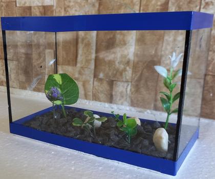 Imagem de Aquario Beteira Para Peixe Betta Decorado