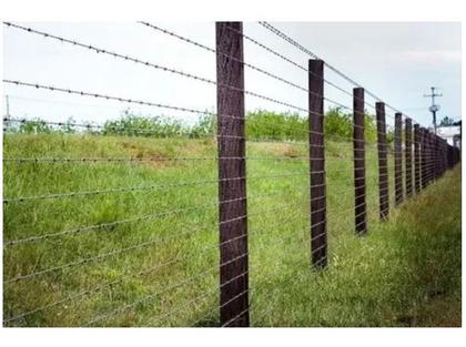 Imagem de Arame Farpado Para Cerca Nelore 500m Morlan