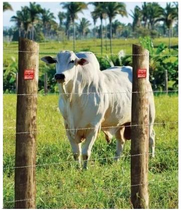 Imagem de Arame Farpado Para Cerca Nelore 500m Morlan