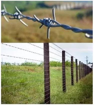 Imagem de Arame Farpado Para Cerca Nelore 500m Morlan