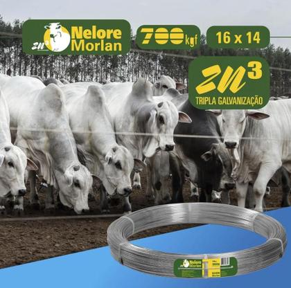 Imagem de Arame Ovalado Nelore PG 16 x 14 700Kgf 1000m