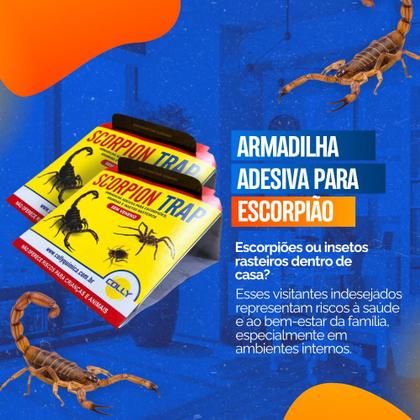 Imagem de Armadilha Adesiva Captura Escorpião Aranhas C/10 Colly